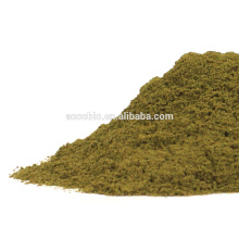 Best Selling Plant Extract bulk moringa leaf extract powder